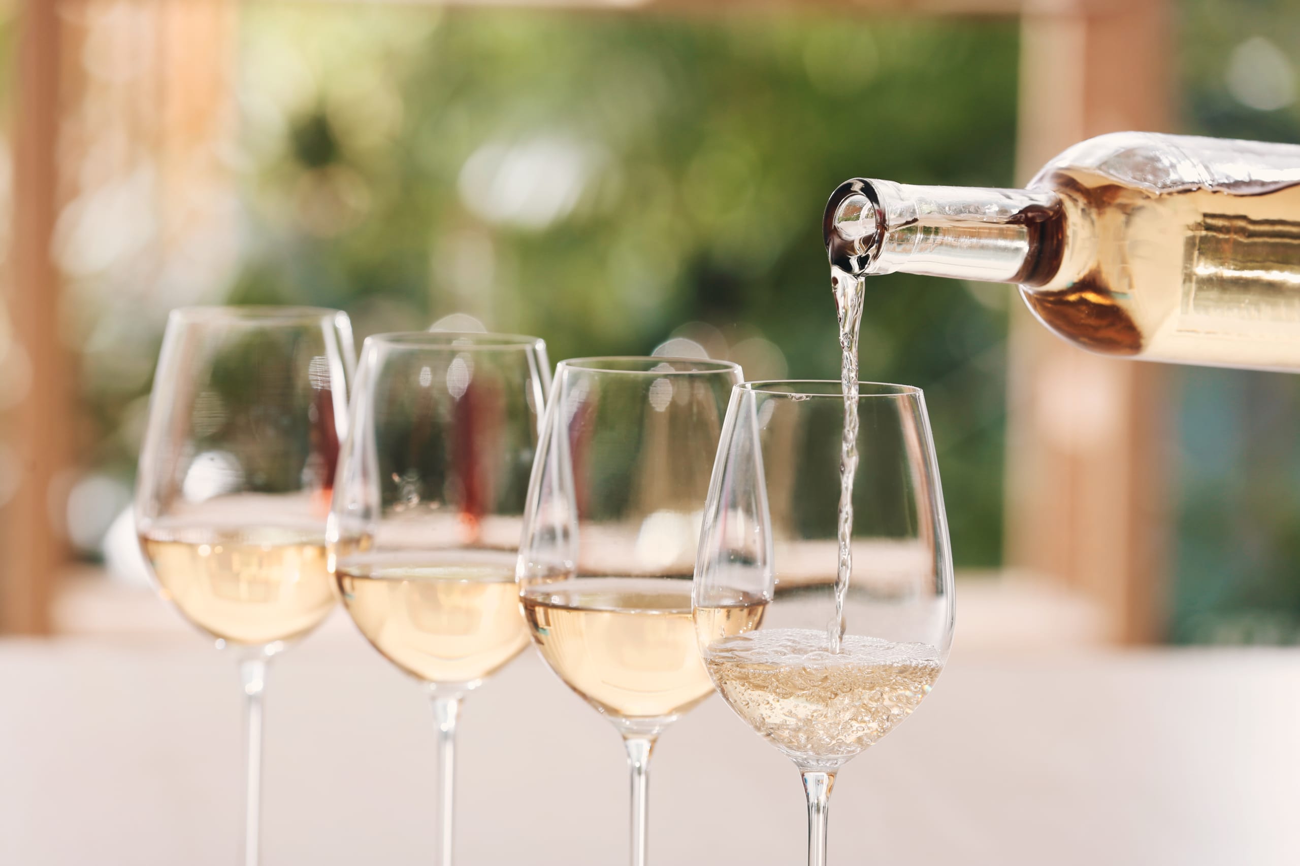Neustadt an der Weinstraße, degustazione vino riesling